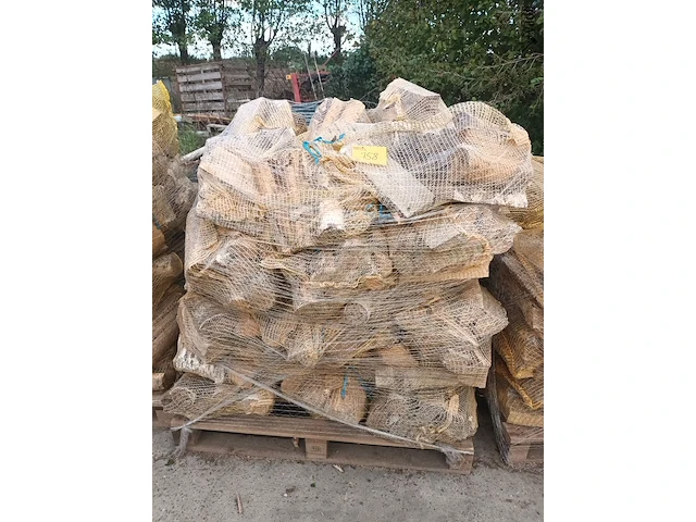 Lot 158 - brandhout berk. 1 pallet - afbeelding 1 van  3