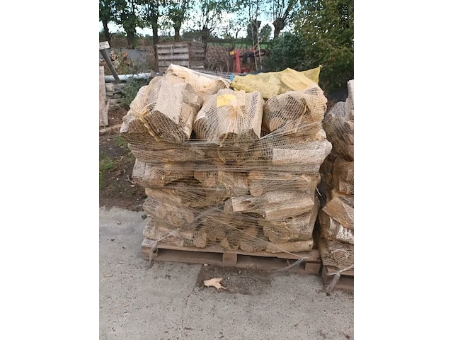 Lot 159 - brandhout berk. 1 pallet - afbeelding 1 van  3
