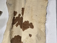 Lot 159 - groot koeievel - afbeelding 1 van  1