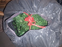 Lot 16 - kerstbomen. 7 stuks - afbeelding 4 van  4