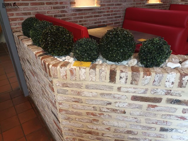 Lot 16 - kunstplanten en sierstenen - afbeelding 2 van  4
