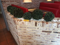 Lot 16 - kunstplanten en sierstenen - afbeelding 2 van  4