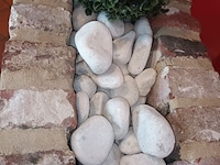 Lot 16 - kunstplanten en sierstenen - afbeelding 3 van  4