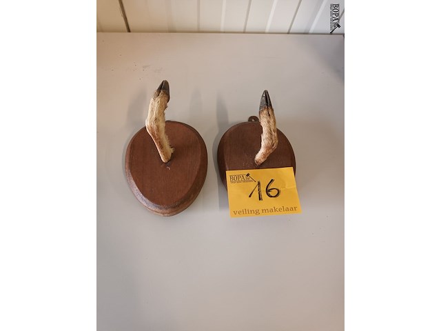 Lot 16 - muur kapstok dierenpoot. 2 stuks - afbeelding 1 van  3