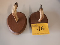 Lot 16 - muur kapstok dierenpoot. 2 stuks - afbeelding 1 van  3