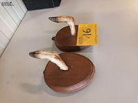 Lot 16 - muur kapstok dierenpoot. 2 stuks - afbeelding 2 van  3