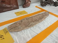 Lot 161 - fossiel - afbeelding 3 van  4