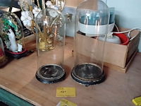 Lot 161 - glazen stolp op houten voet - afbeelding 1 van  1