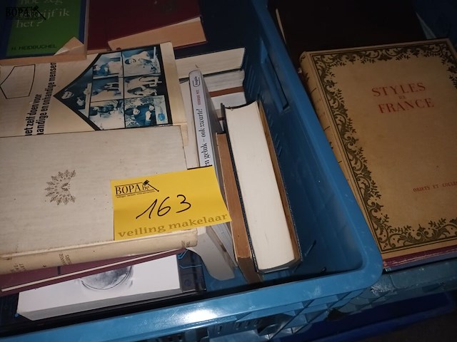 Lot 163 - boeken - afbeelding 1 van  6