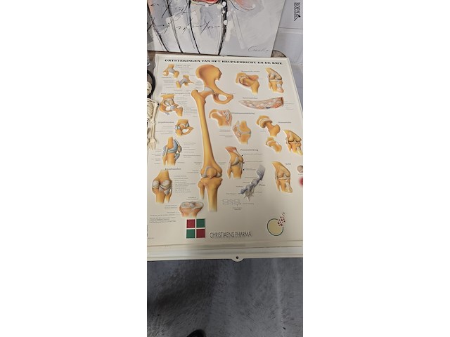 Lot 165 - lot medische toebehoren - afbeelding 2 van  11