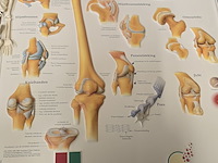 Lot 165 - lot medische toebehoren - afbeelding 2 van  11