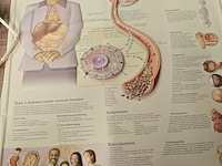 Lot 165 - lot medische toebehoren - afbeelding 3 van  11