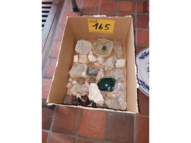 Lot 165 - stenen en mineralen - afbeelding 1 van  4