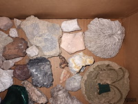 Lot 165 - stenen en mineralen - afbeelding 3 van  4