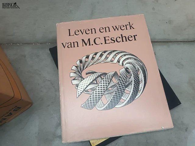 Lot 168 - kunstboeken. 1 doos - afbeelding 4 van  10