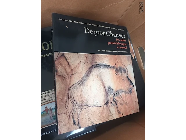 Lot 168 - kunstboeken. 1 doos - afbeelding 7 van  10
