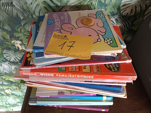 Lot 17 - boeken en strips. 22 stuks - afbeelding 1 van  3