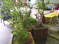 Lot 171 - houten plantenbakken met planten. 5 stuks - afbeelding 3 van  4