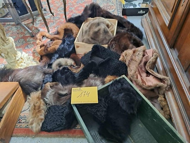 Lot 174 - lot verzameling pelsdieren: bont, mutsen, sjaals, nertsen - afbeelding 1 van  2