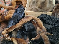 Lot 174 - lot verzameling pelsdieren: bont, mutsen, sjaals, nertsen - afbeelding 2 van  2