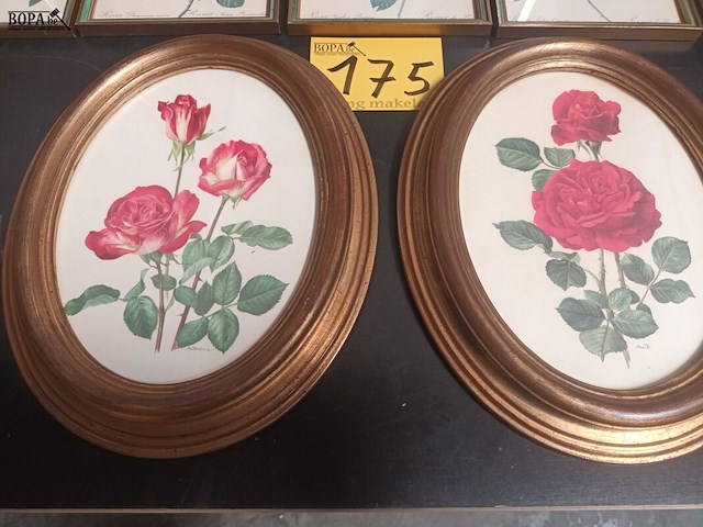 Lot 175 - kaders met bloemen. 6 stuks - afbeelding 2 van  4