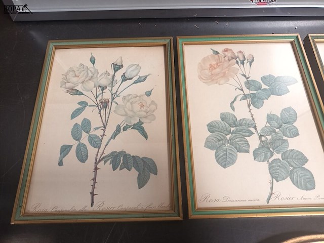 Lot 175 - kaders met bloemen. 6 stuks - afbeelding 3 van  4