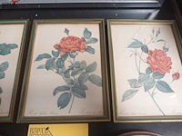 Lot 175 - kaders met bloemen. 6 stuks - afbeelding 4 van  4