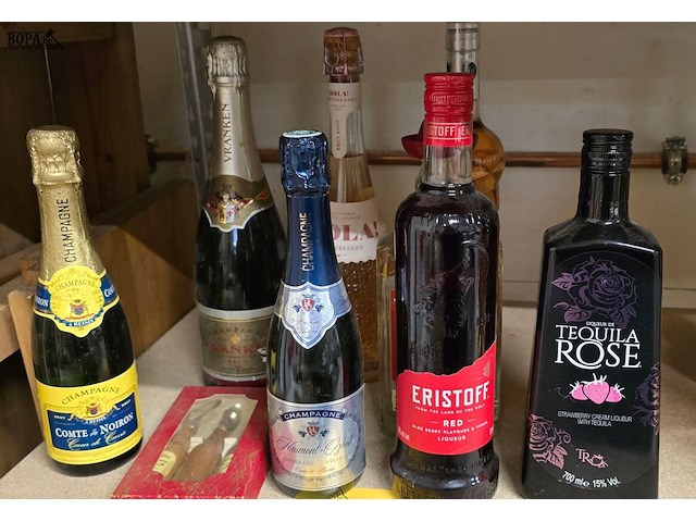 Lot 175 - lot alcoholische dranken wo champagne 8 flessen - afbeelding 1 van  2
