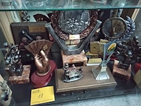 Lot 18 - trofeeënverzameling