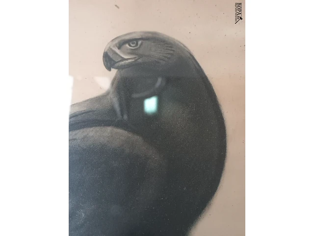 Lot 181 - kader vogel - afbeelding 4 van  4