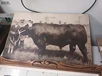 Lot 184 - kaders en medailles veeteelt - afbeelding 4 van  7