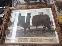 Lot 184 - kaders en medailles veeteelt - afbeelding 5 van  7