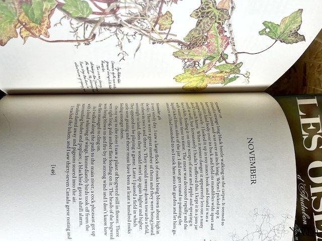 Lot 184 - nature diary - les oiseaux 2 boeken - afbeelding 3 van  8