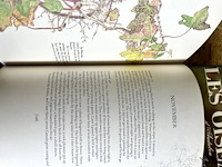 Lot 184 - nature diary - les oiseaux 2 boeken - afbeelding 3 van  8