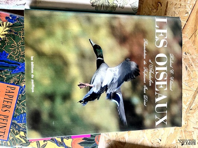Lot 184 - nature diary - les oiseaux 2 boeken - afbeelding 4 van  8