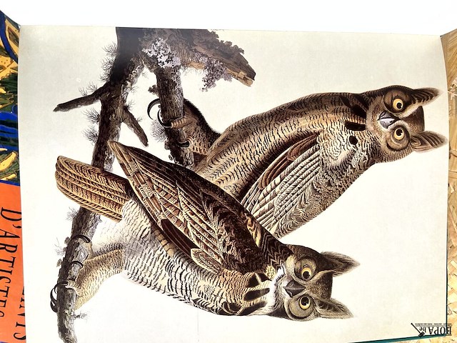 Lot 184 - nature diary - les oiseaux 2 boeken - afbeelding 6 van  8