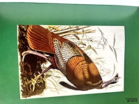 Lot 184 - nature diary - les oiseaux 2 boeken - afbeelding 7 van  8
