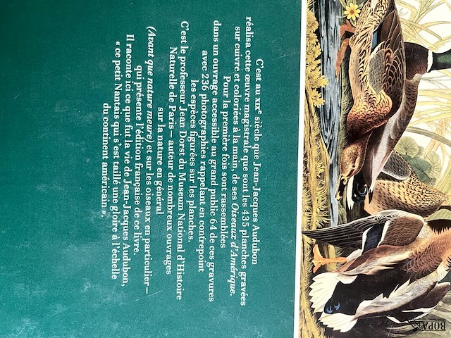 Lot 184 - nature diary - les oiseaux 2 boeken - afbeelding 8 van  8