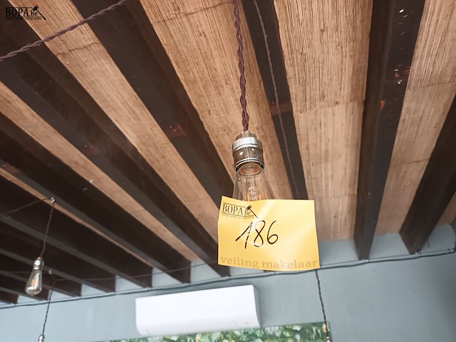 Lot 186 - prikkabels. 3 stuks - afbeelding 1 van  5