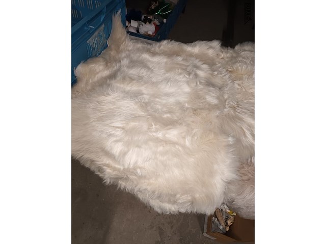 Lot 186 - schapenvellen. 4 stuks - afbeelding 5 van  6