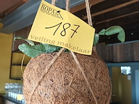 Lot 187 - hangpotten kokosnoot. 6 stuks - afbeelding 1 van  3