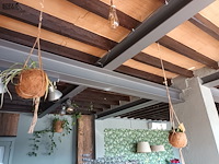 Lot 187 - hangpotten kokosnoot. 6 stuks - afbeelding 2 van  3