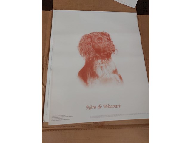Lot 188 - tekening met dieren getekend, ong. 8 stuks - afbeelding 3 van  4