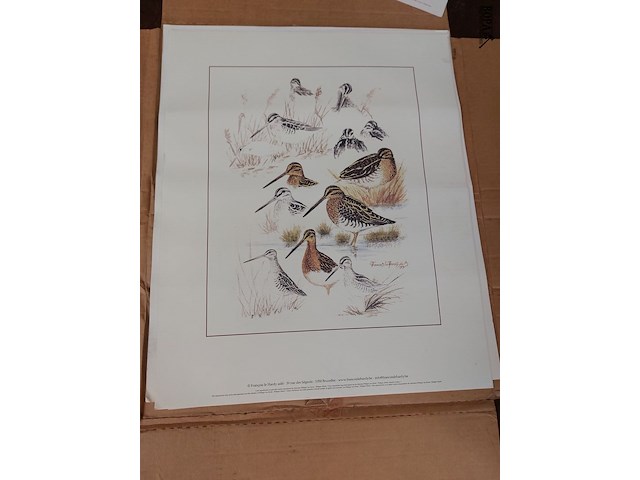 Lot 188 - tekening met dieren getekend, ong. 8 stuks - afbeelding 4 van  4