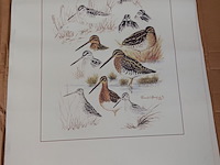 Lot 188 - tekening met dieren getekend, ong. 8 stuks - afbeelding 4 van  4