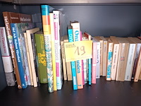 Lot 19 - boeken. 43 stuks