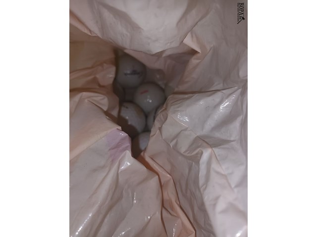 Lot 19 - sport en spel - afbeelding 6 van  6