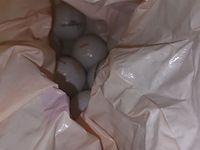 Lot 19 - sport en spel - afbeelding 6 van  6