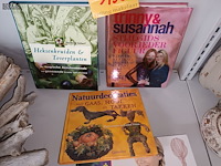 Lot 190 - boeken - 5 stuks - afbeelding 2 van  2