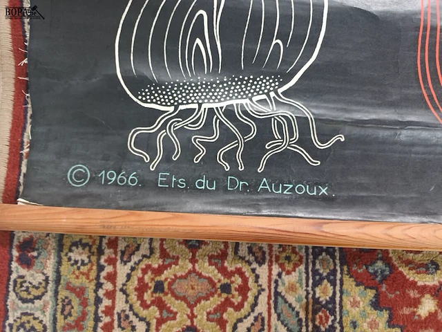 Lot 190 - oude schoolplaten. 5 stuks - afbeelding 2 van  10